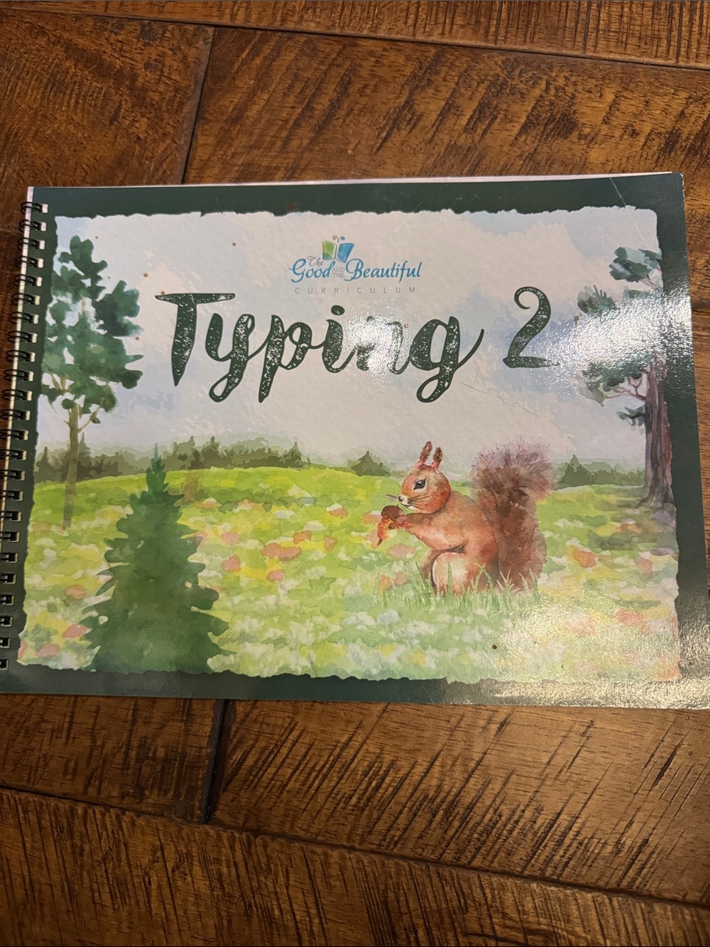 Typing 2 book curriculum book